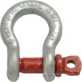 Heavy Duty Alloy Steel Bow Shackle with Screw Pin